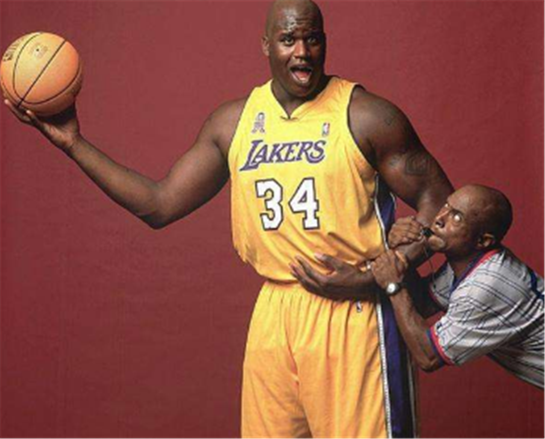 社会梯队 社会梯队